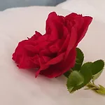 Mano