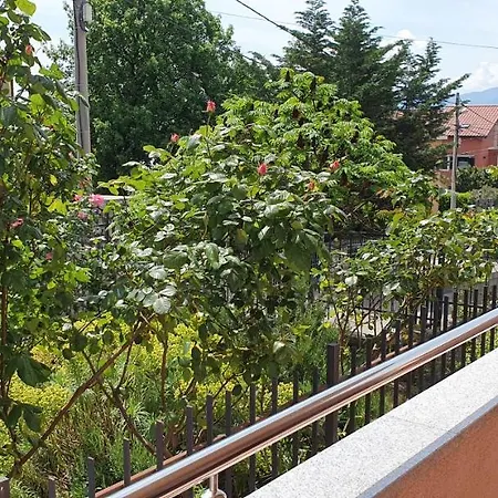 Mano Rijeka